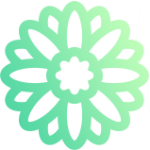 fest-icon-2 fest-icon-2